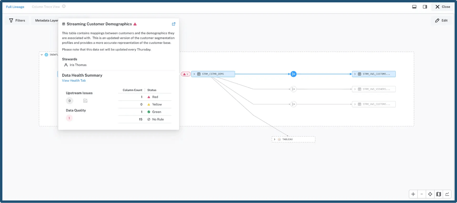 Data lineage example that maps customers to demographics