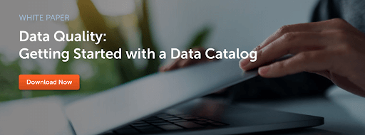 CTA banner to our Data Quality: Getting Started with a Data Catalog white paper