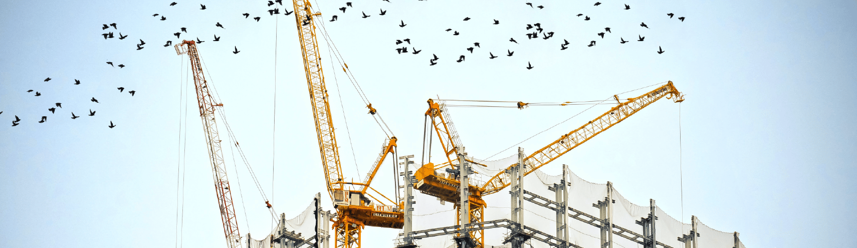 Three construction cranes with a heard of birds flying behind them