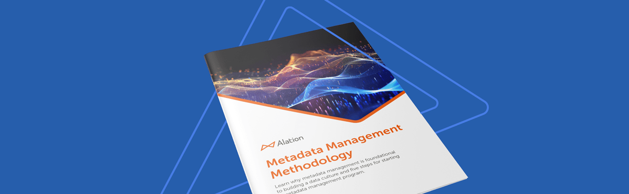 Alation Resource: Metadata management methodology