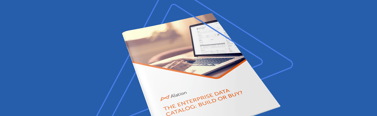 Alation Resource: the enterprise data catalog - build or buy?