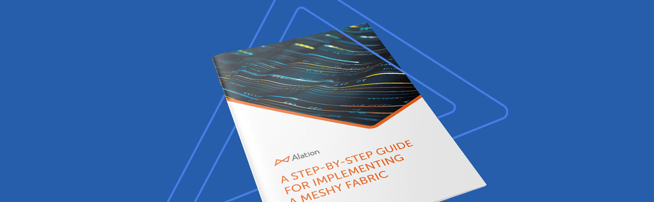 Alation Resource: a step by step guide for implementing a Meshy Fabric