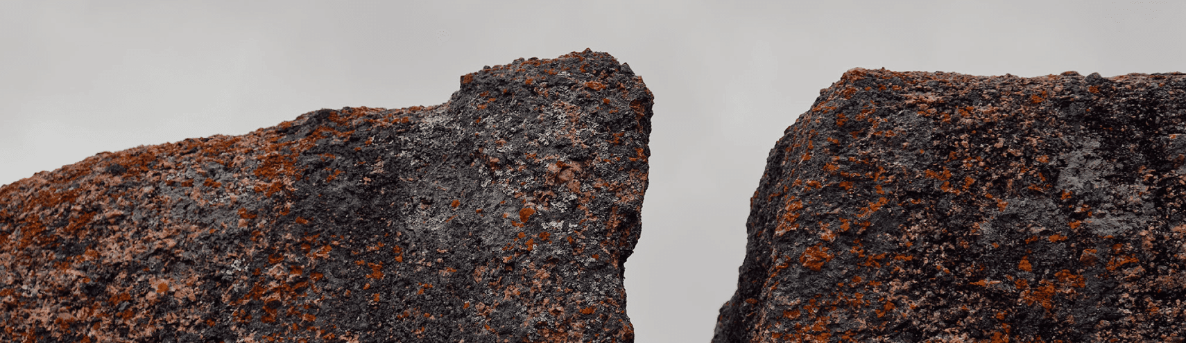 BARC Survey Defines the Data Culture Gap
