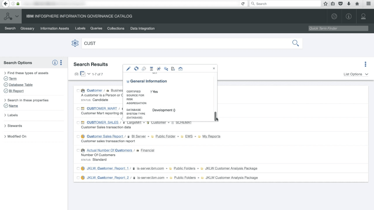 IBM InfoSphere’s Information Governance Catalog shows search results, asset types, and metadata details.