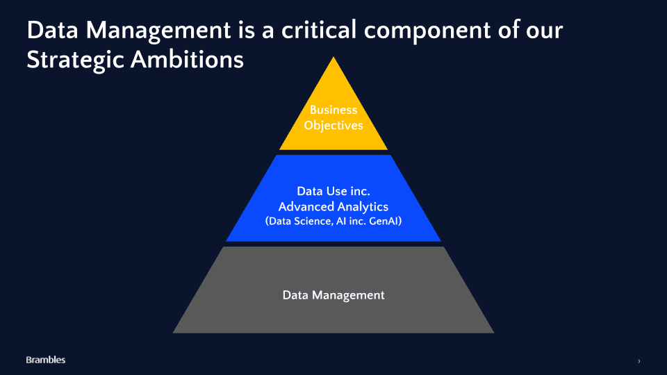 Brambles' approach to critical data elements as a component for strategy