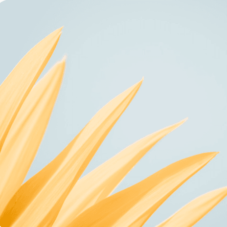 Placeholder image for the Alation website