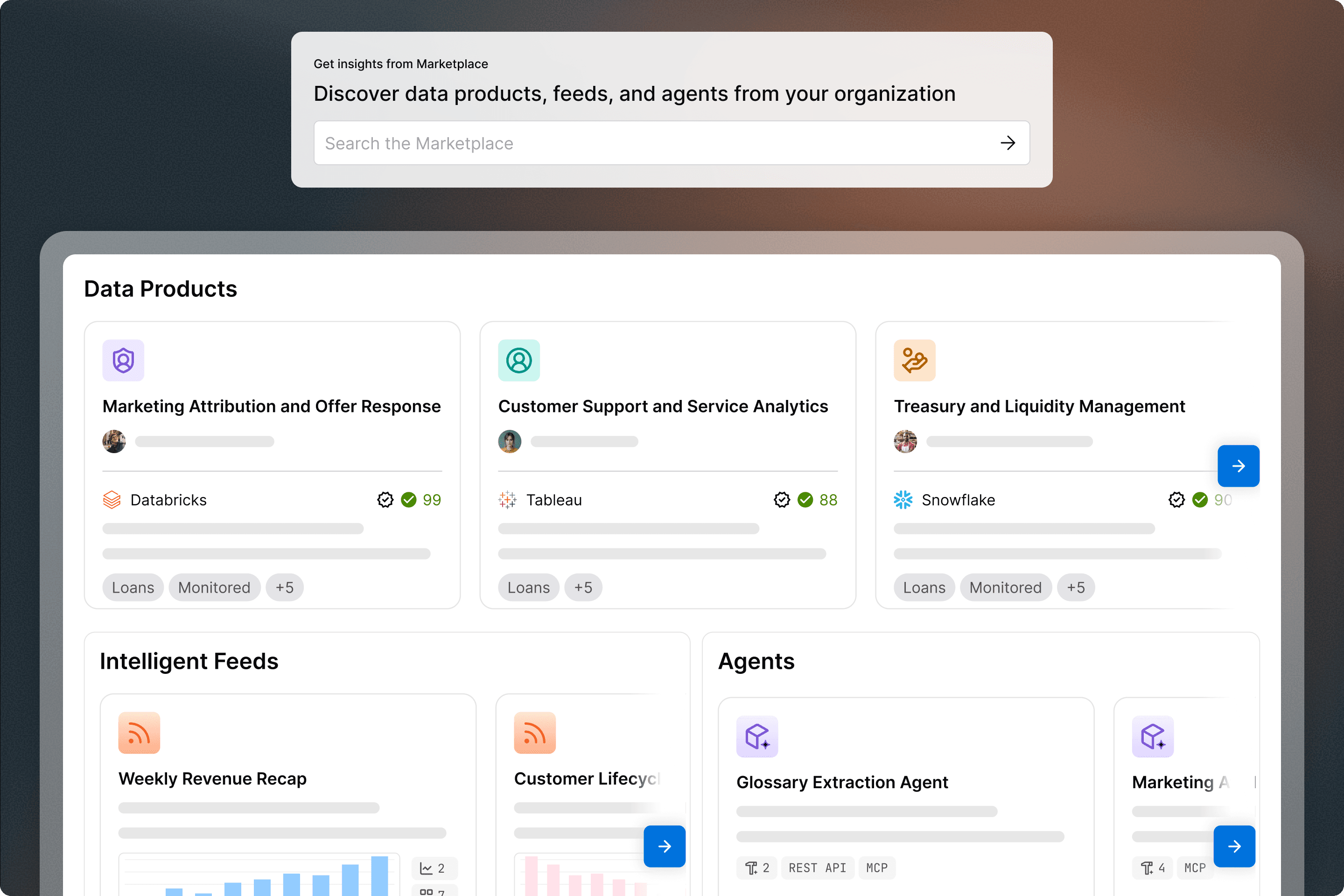 A marketplace dashboard showing data products, intelligent feeds, and agents with a search bar and cards for analytics tools.