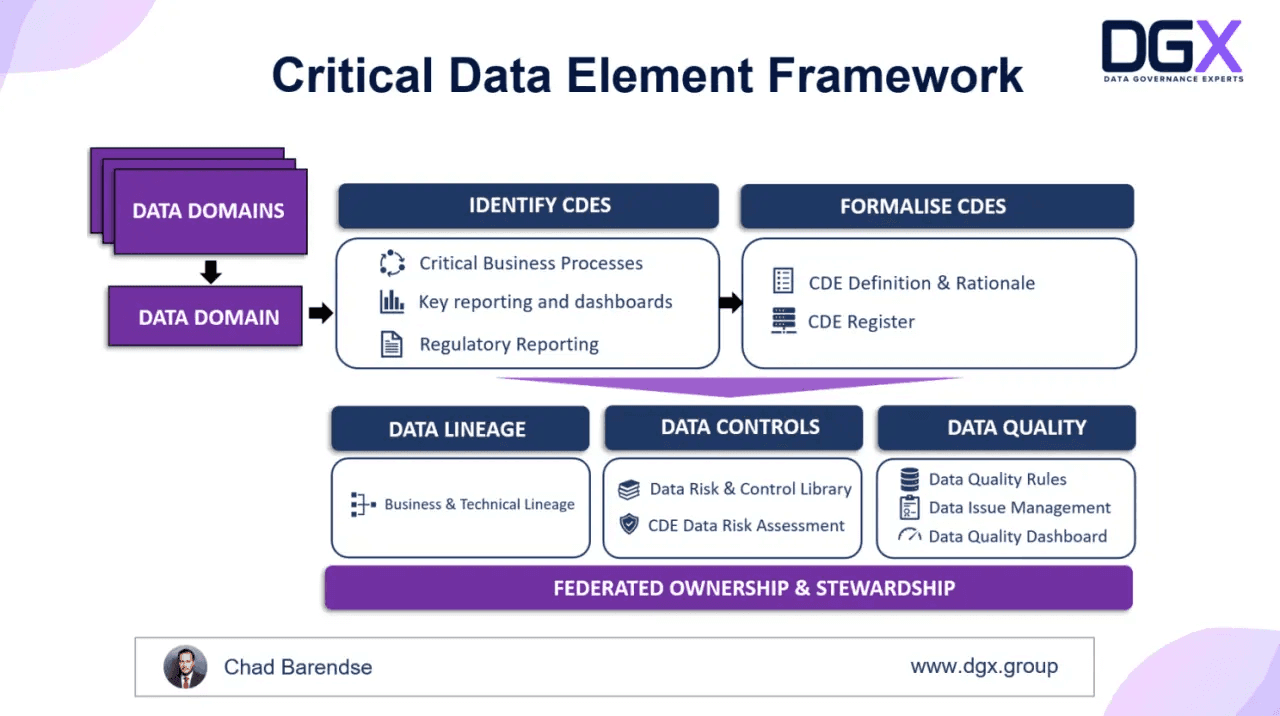 The process of identifying and formalizing CDEs to integrate them into governance efforts per DGX