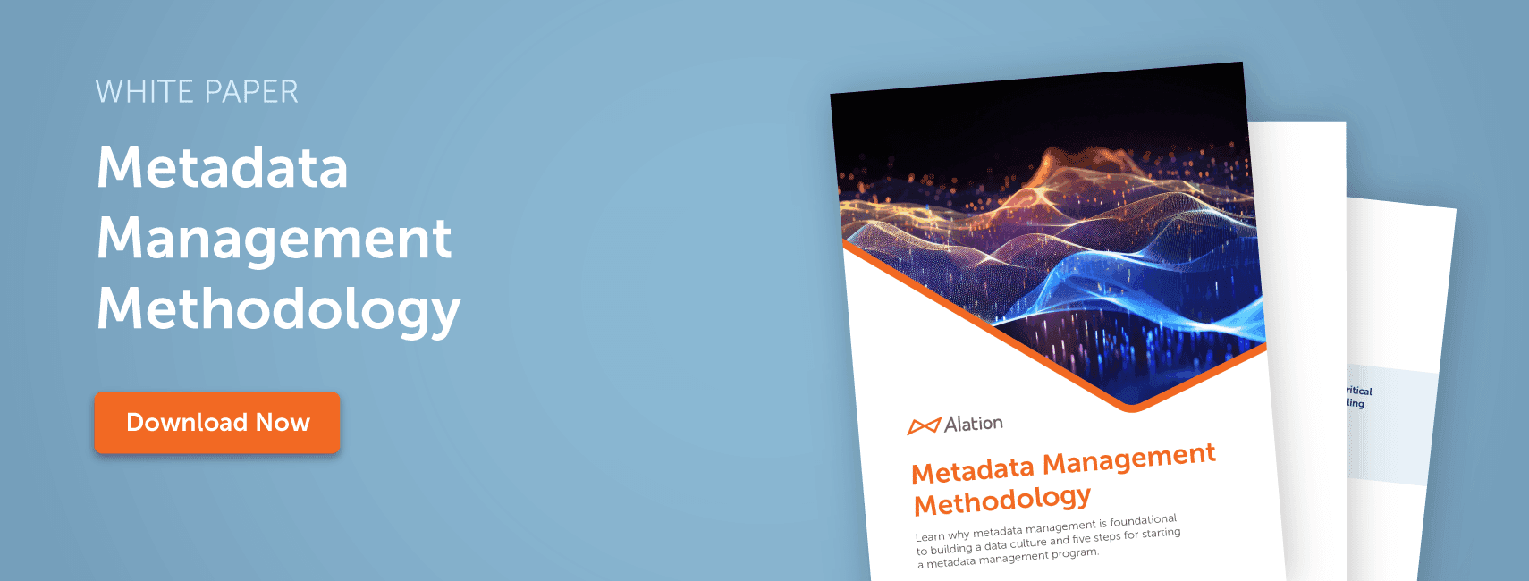 Metadata management methodology whitepaper banner large
