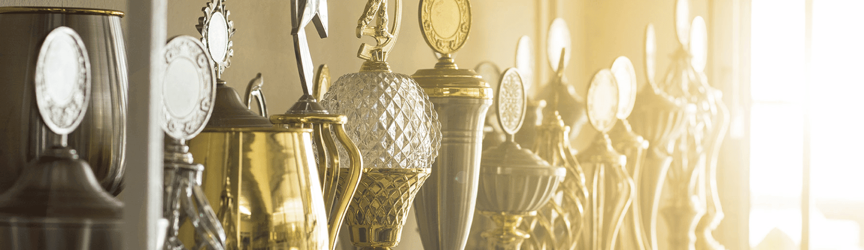 Trophy cases on display