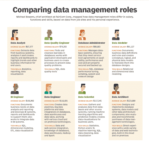 Infographic comparing data management roles