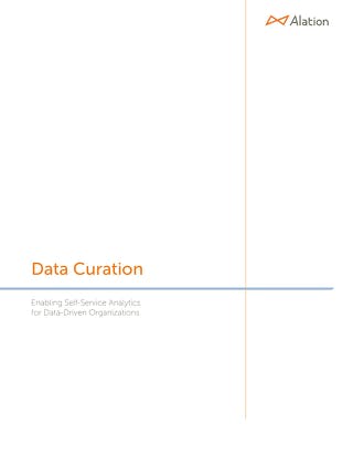 Thumbnail image of the Data Curation: Self-Service Analytics for Data-Driven Orgs White Paper