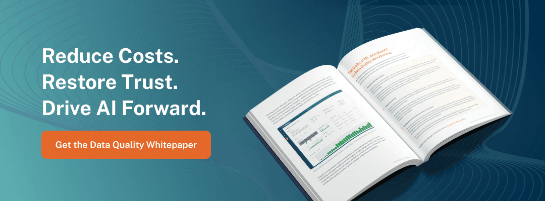 Banner promoting Data Quality product whitepaper - large