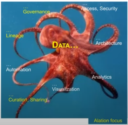 An orange octopus that describes the Alation focus