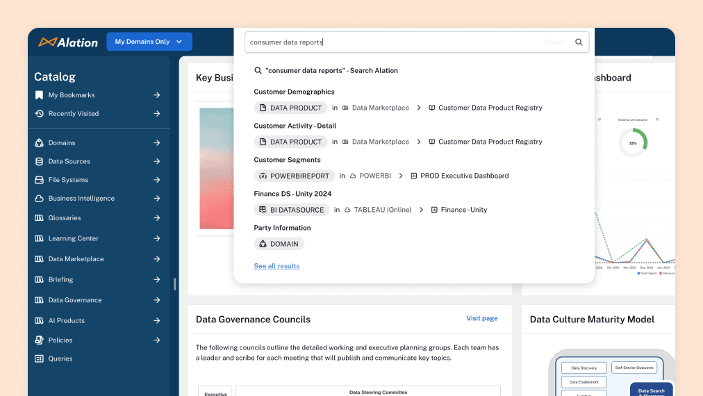 alation search and discovery product
