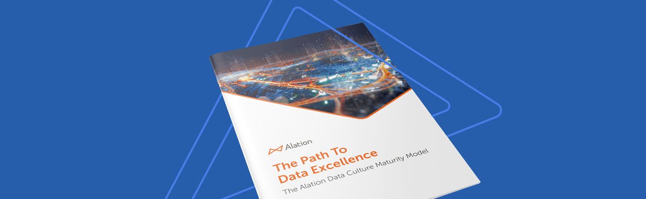 Alation Resource: The path to data excellence