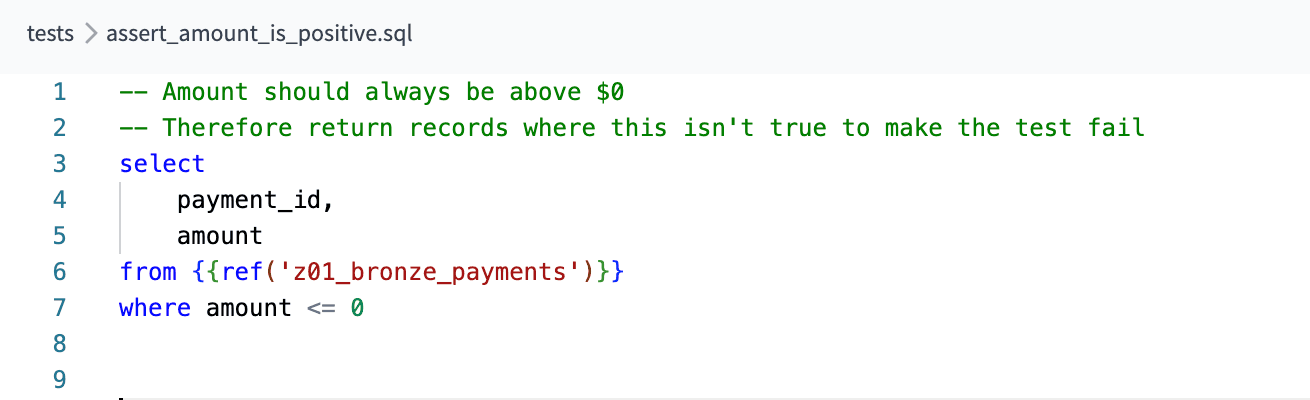 Figure 4. The name of this test is the name of the file: assert_amount_is_positive.sql