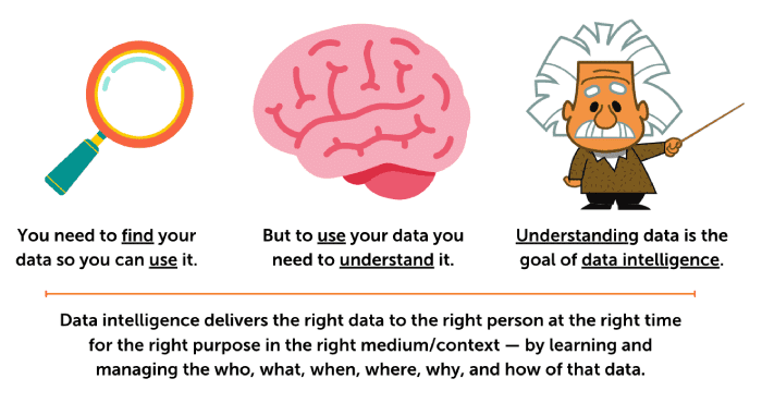 mage graphic displaying a magnifying glass, a brain, and Albert Einstein demonstrating decentralization