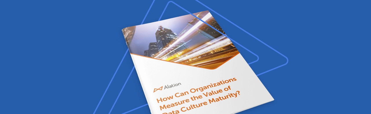 Illustration of the "How Can Organizations Measure the Value of Data Culture Maturity" whitepaper