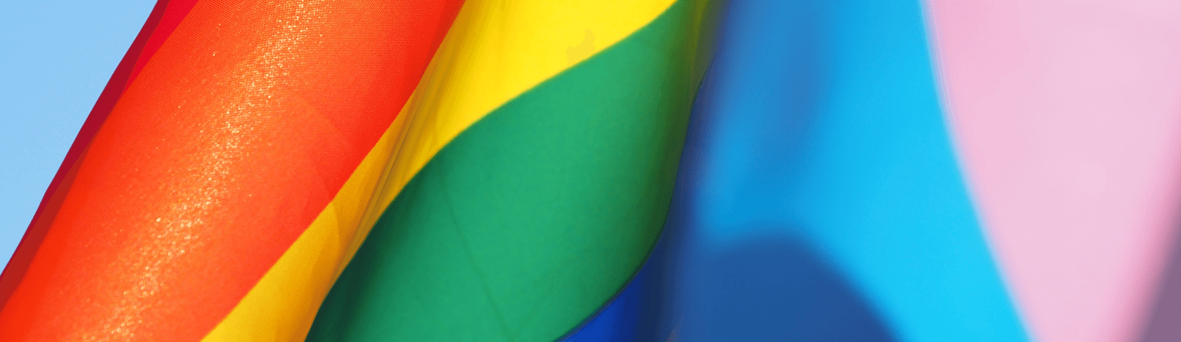 LGBTQ History Month: A Look Back and the Importance of Community at Alation blog