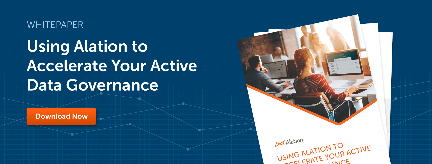Accelerate Your Data Governance Whitepaper