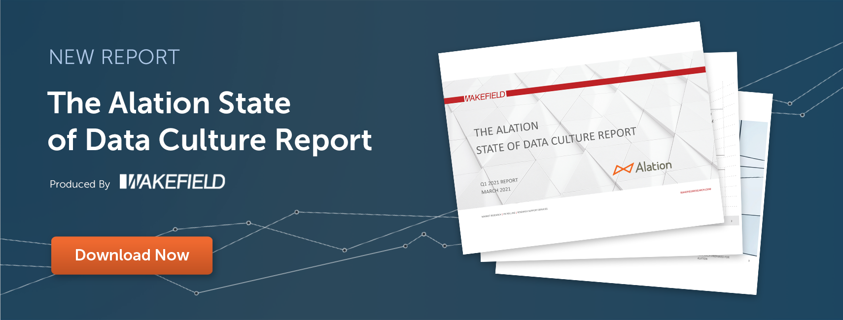 Alation state of data culture report q1 2021