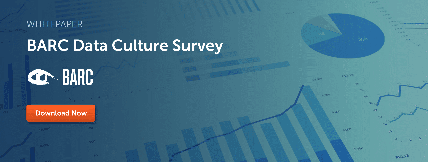 BARC 2021 Data Culture Survey