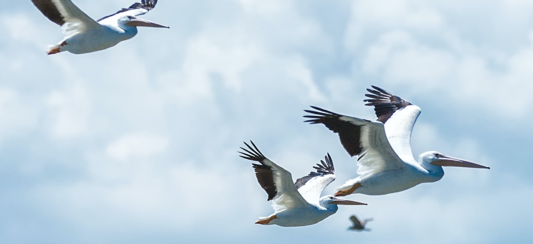 Migrating Data to the Cloud: Things You Need to Know