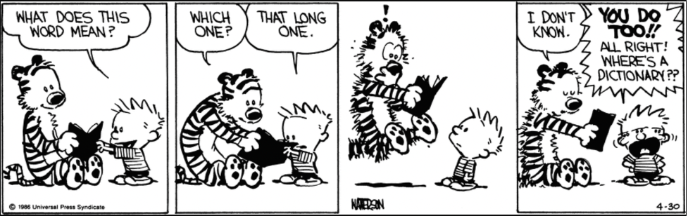 Calvin and Hobes comic snippet where Calvin is asking Hobes the definition to a long word.