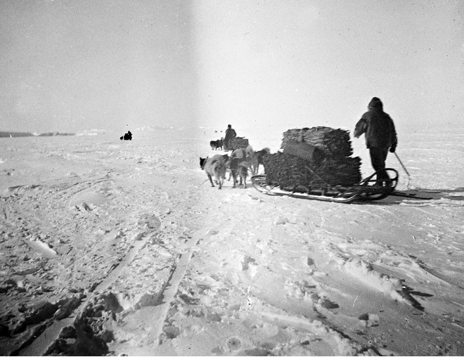 Roald Amundsen led the Norwegian team to the South Pole with sled dogs